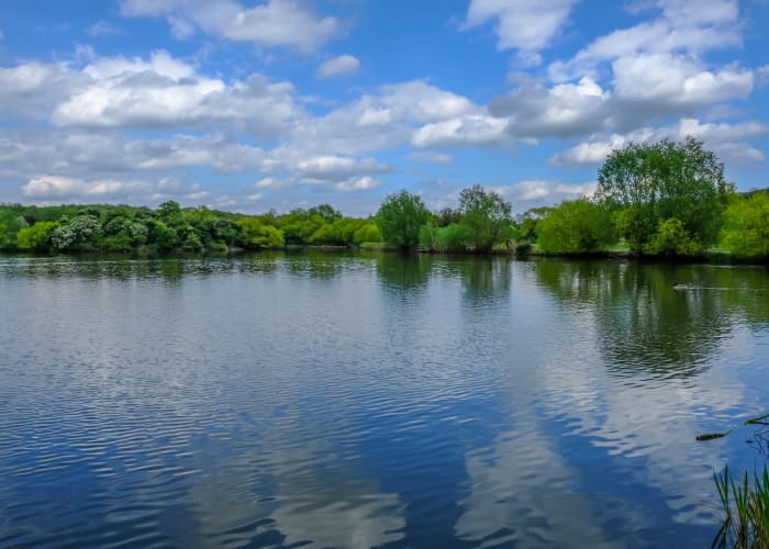 Hainault